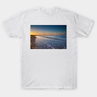 Seagulls at Dusk T-Shirt